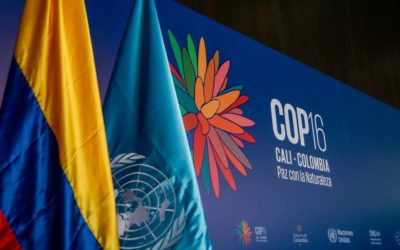 Triunfo del carbo-fascismo en EEUU – Avances indígenas en la COP16 de Colombia