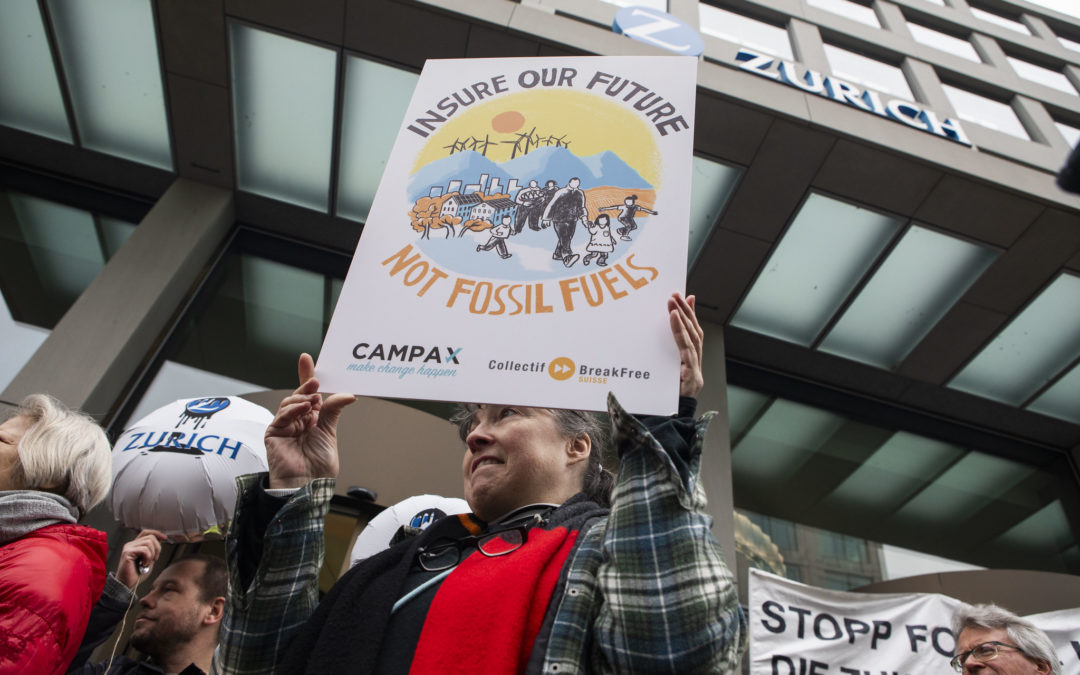 JOB DESCRIPTION — CAMPAIGNER “INSURANCES & CLIMATE”