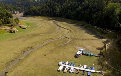 Investir dans le Chaos Climatique en Suisse en 2026